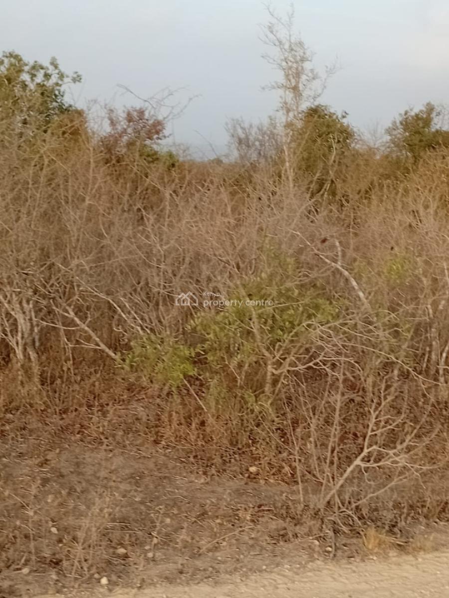 Prime 48-acre Fertile Land -- Road Frontage, Marafa, Malindi Town, Kilifi, Mixed-use Land for Sale