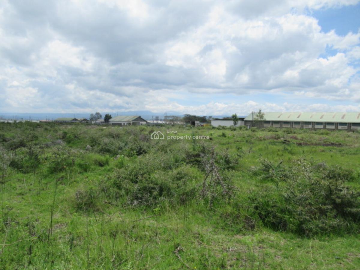 Blocks of Land Fronting The Lake, Moi South Lake Road, Naivasha East, Nakuru, Land for Sale