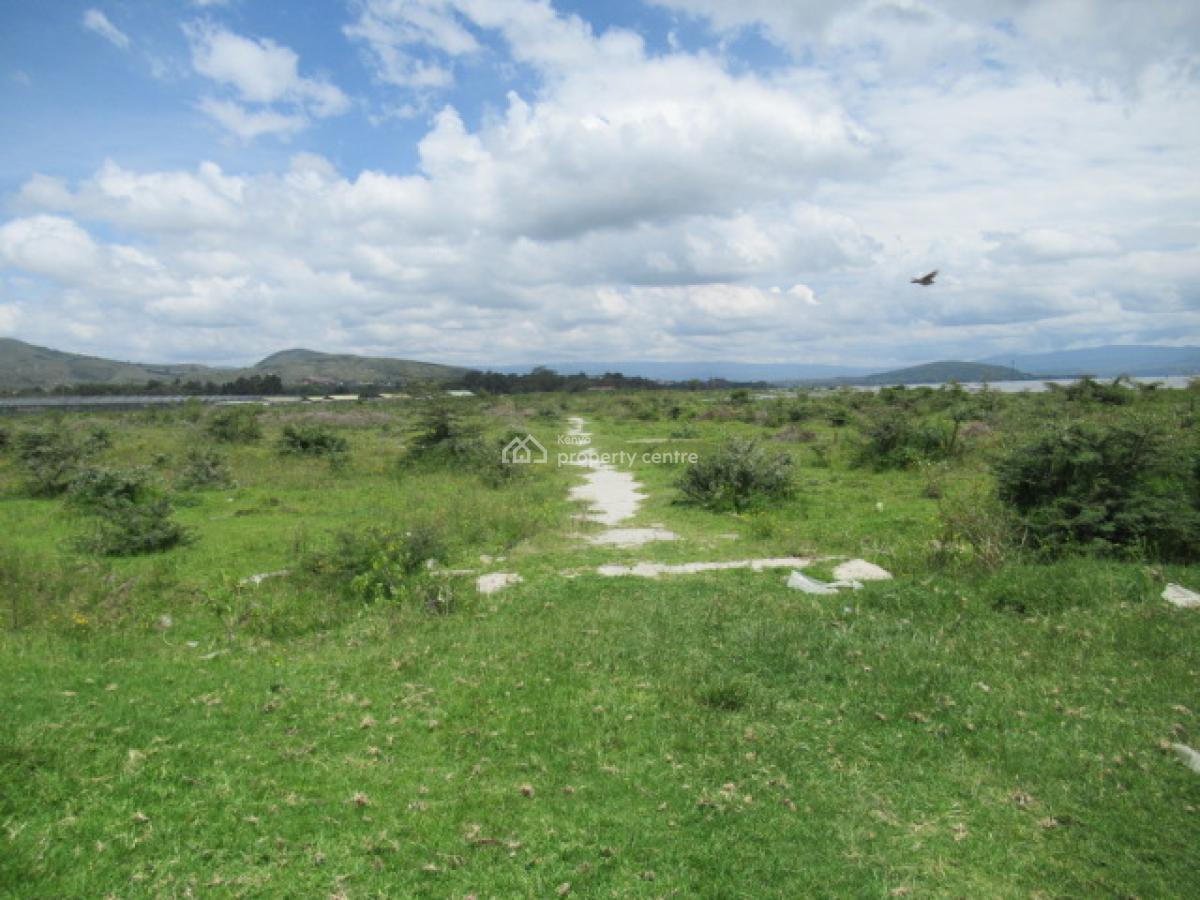 Blocks of Land Fronting The Lake, Moi South Lake Road, Naivasha East, Nakuru, Land for Sale