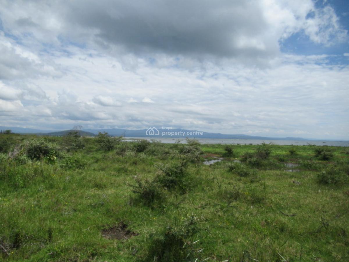 Blocks of Land Fronting The Lake, Moi South Lake Road, Naivasha East, Nakuru, Land for Sale