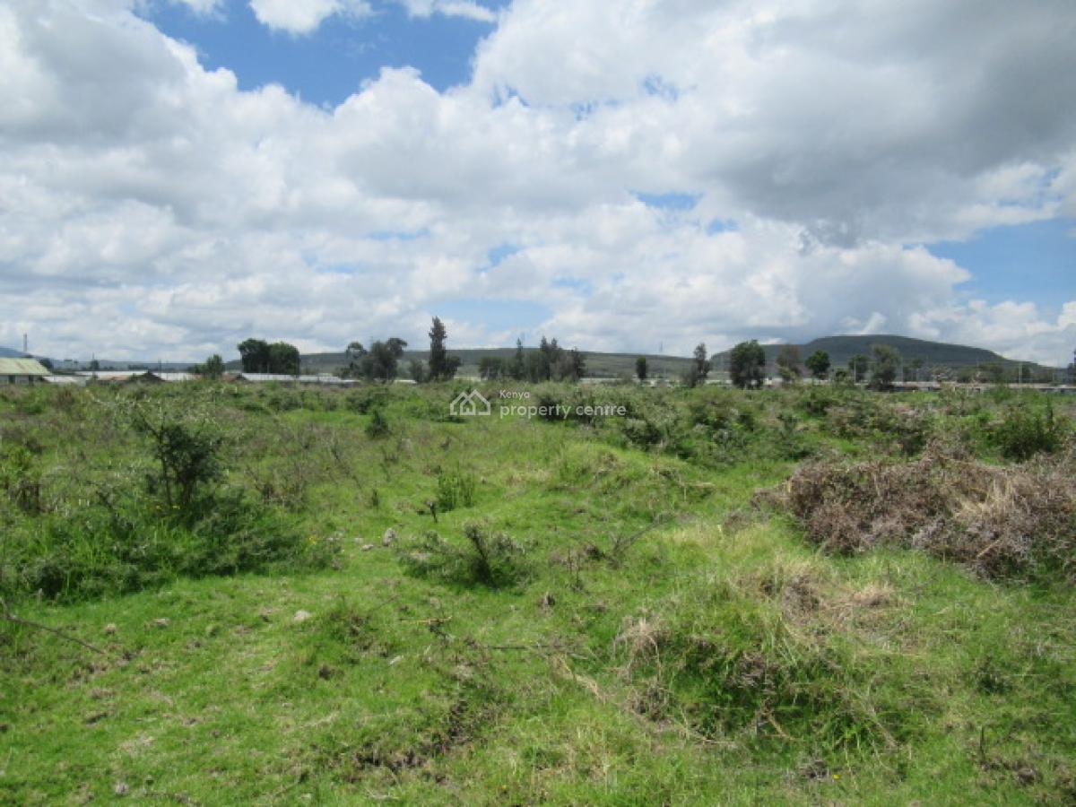 Blocks of Land Fronting The Lake, Moi South Lake Road, Naivasha East, Nakuru, Land for Sale