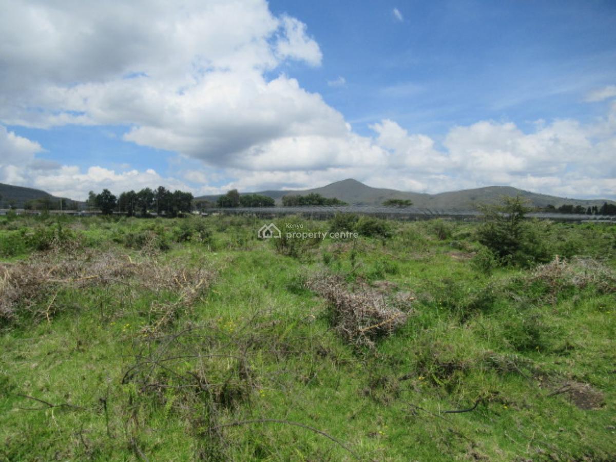 Blocks of Land Fronting The Lake, Moi South Lake Road, Naivasha East, Nakuru, Land for Sale