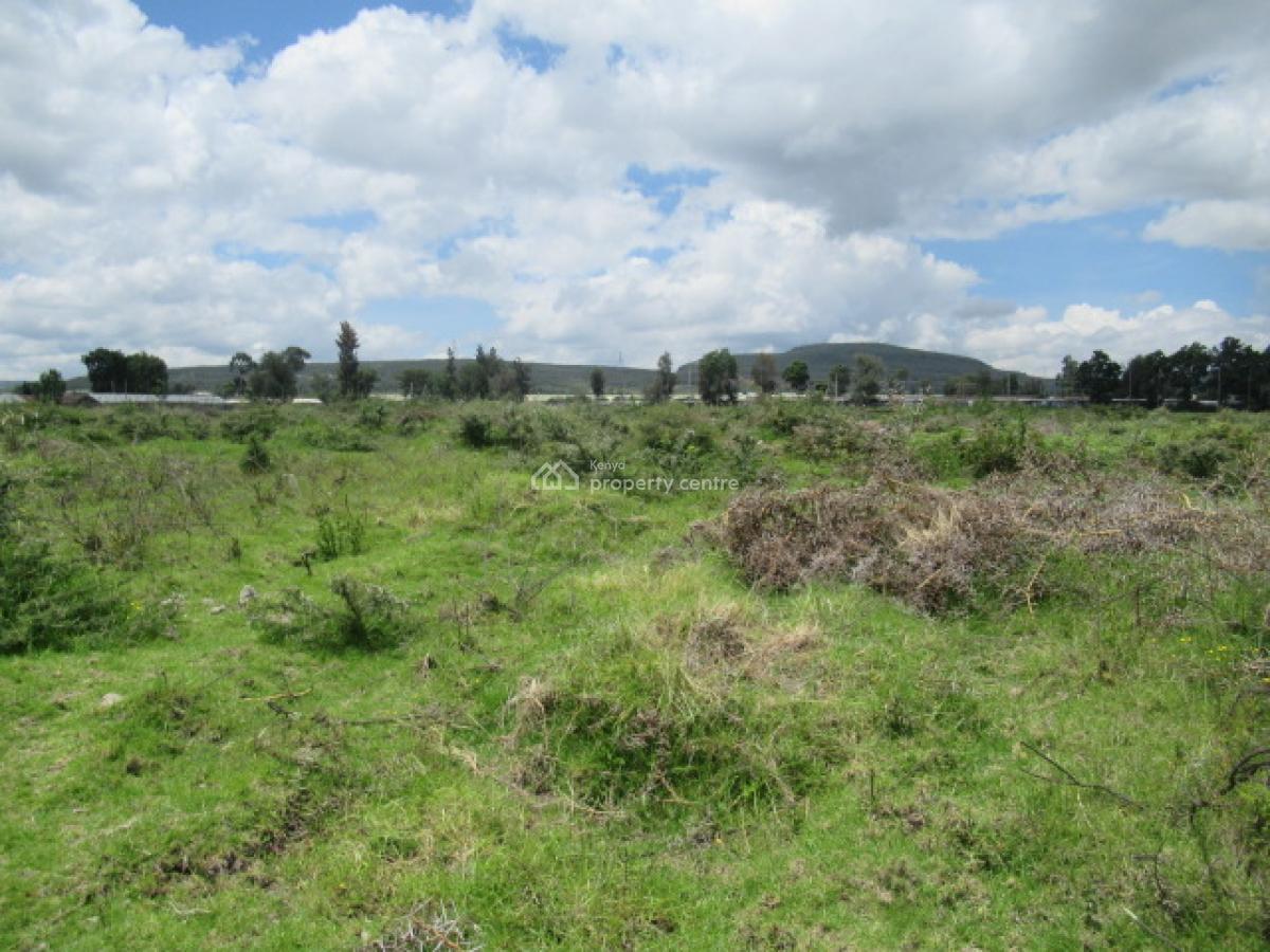 Blocks of Land Fronting The Lake, Moi South Lake Road, Naivasha East, Nakuru, Land for Sale
