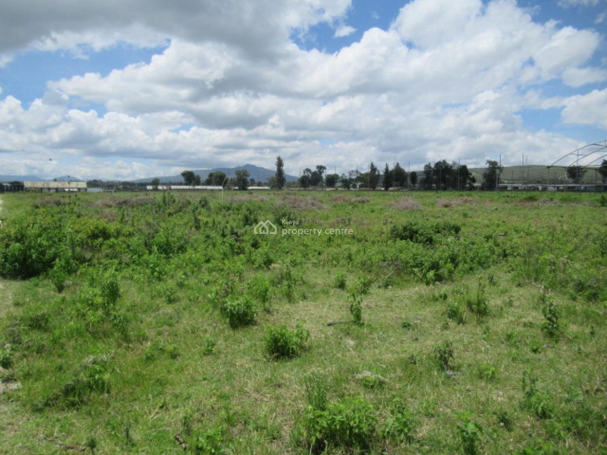 Blocks of Land Fronting The Lake, Moi South Lake Road, Naivasha East, Nakuru, Land for Sale