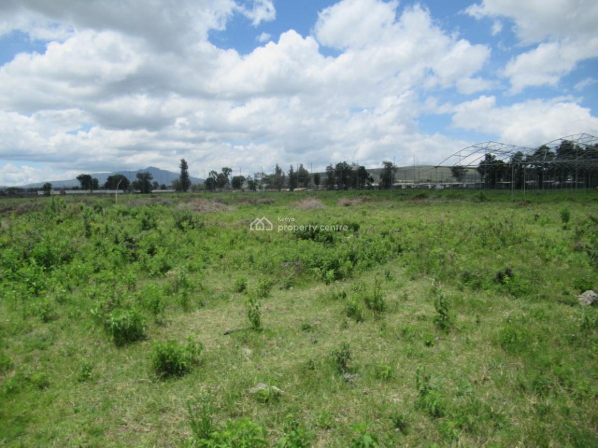 Blocks of Land Fronting The Lake, Moi South Lake Road, Naivasha East, Nakuru, Land for Sale