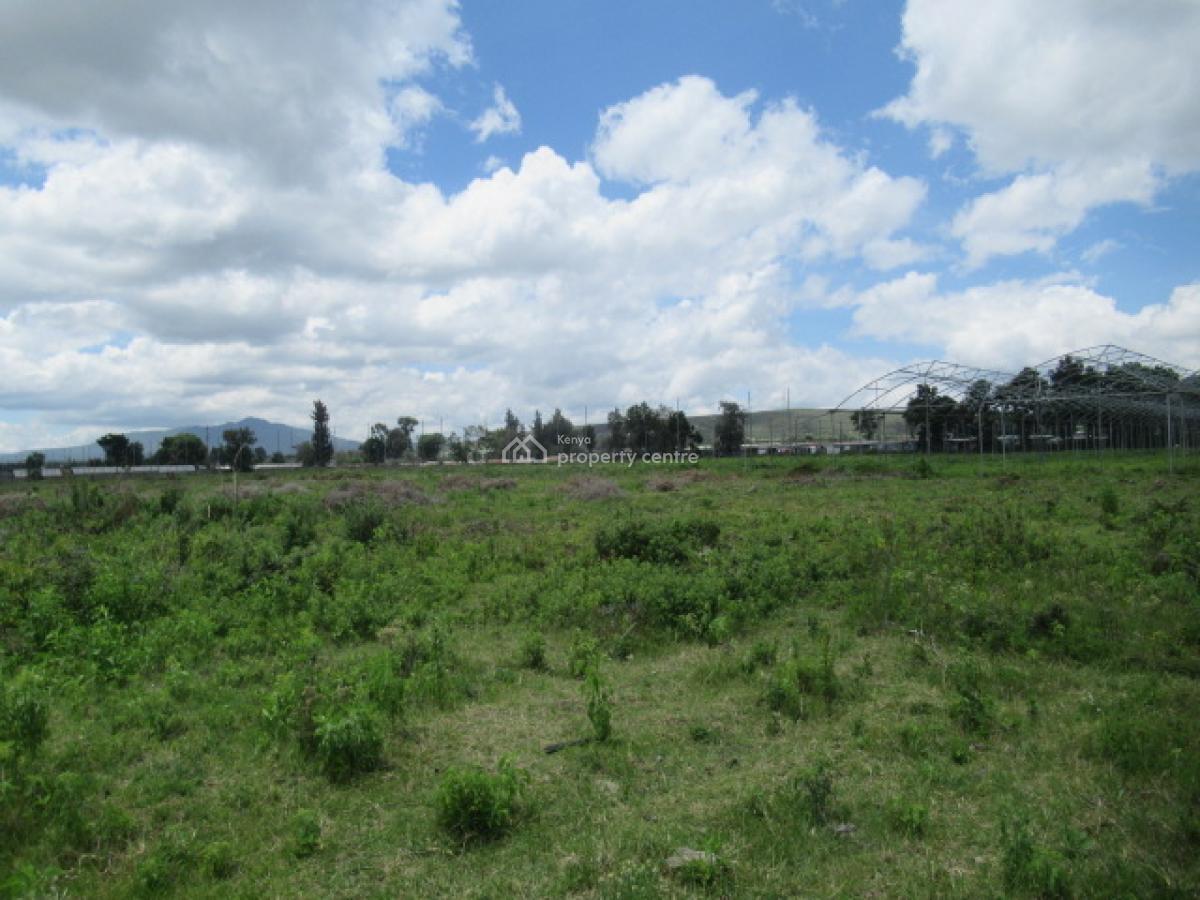 Blocks of Land Fronting The Lake, Moi South Lake Road, Naivasha East, Nakuru, Land for Sale