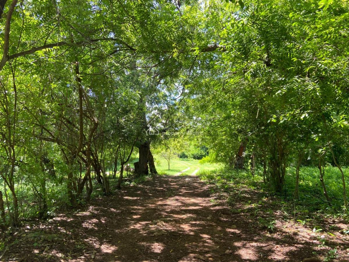 170 Acres of Pure Green Coastal Power, Kuruwitu Beach, Vipingo, Shimo La Tewa, Kilifi, Mixed-use Land for Sale