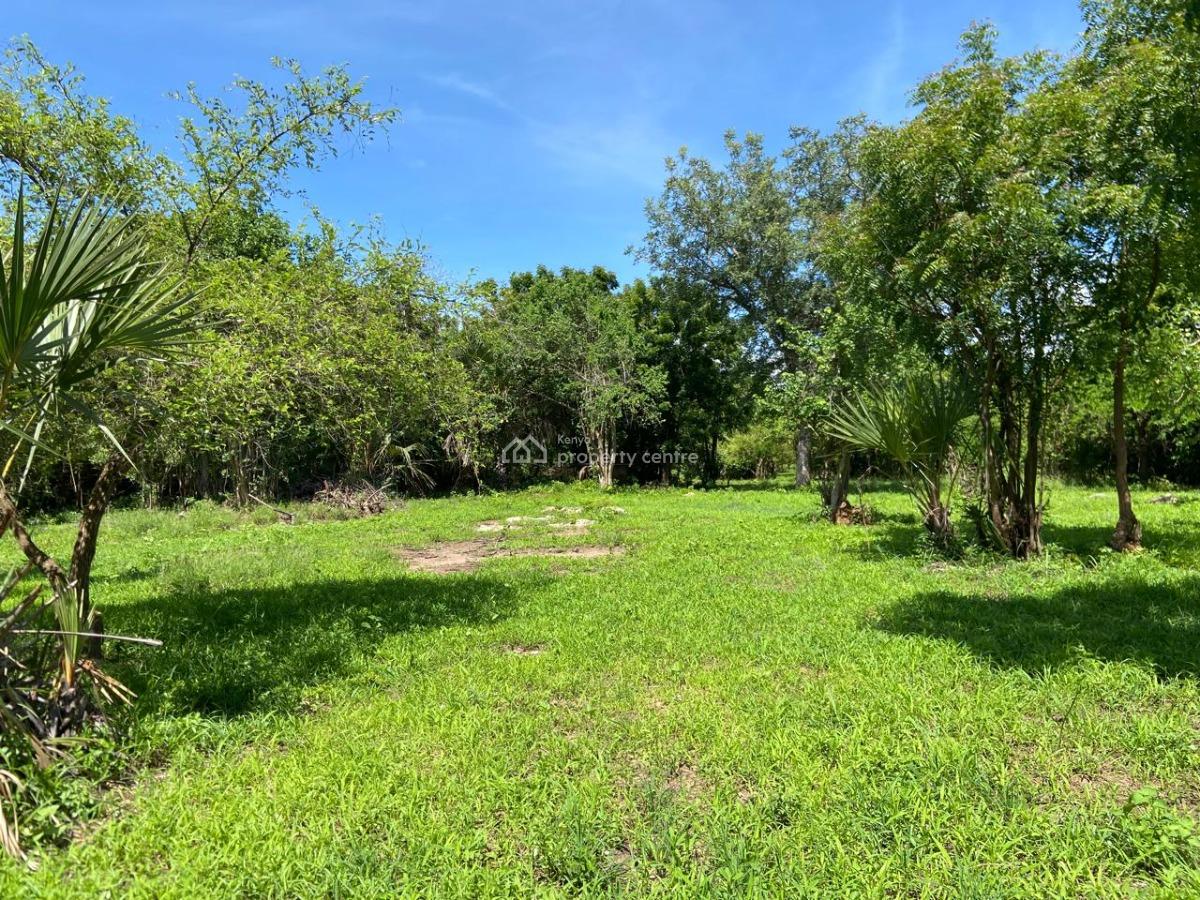 170 Acres of Pure Green Coastal Power, Kuruwitu Beach, Vipingo, Shimo La Tewa, Kilifi, Mixed-use Land for Sale