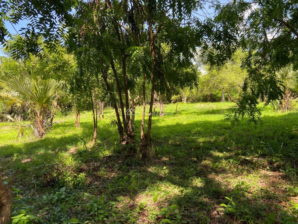170 Acres of Pure Green Coastal Power, Kuruwitu Beach, Vipingo, Shimo La Tewa, Kilifi, Mixed-use Land for Sale