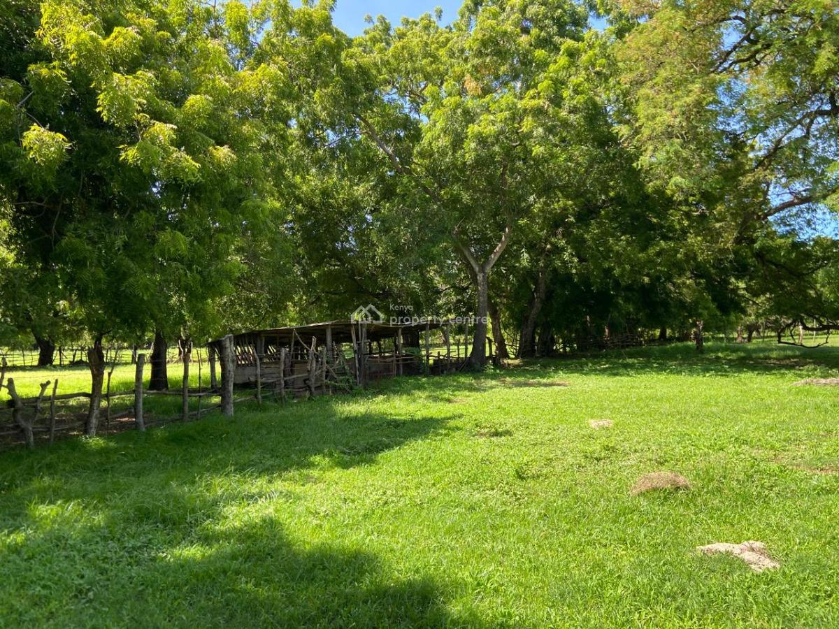 170 Acres of Pure Green Coastal Power, Kuruwitu Beach, Vipingo, Shimo La Tewa, Kilifi, Mixed-use Land for Sale