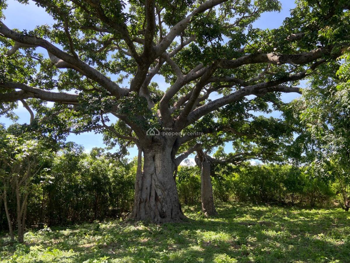 170 Acres of Pure Green Coastal Power, Kuruwitu Beach, Vipingo, Shimo La Tewa, Kilifi, Mixed-use Land for Sale
