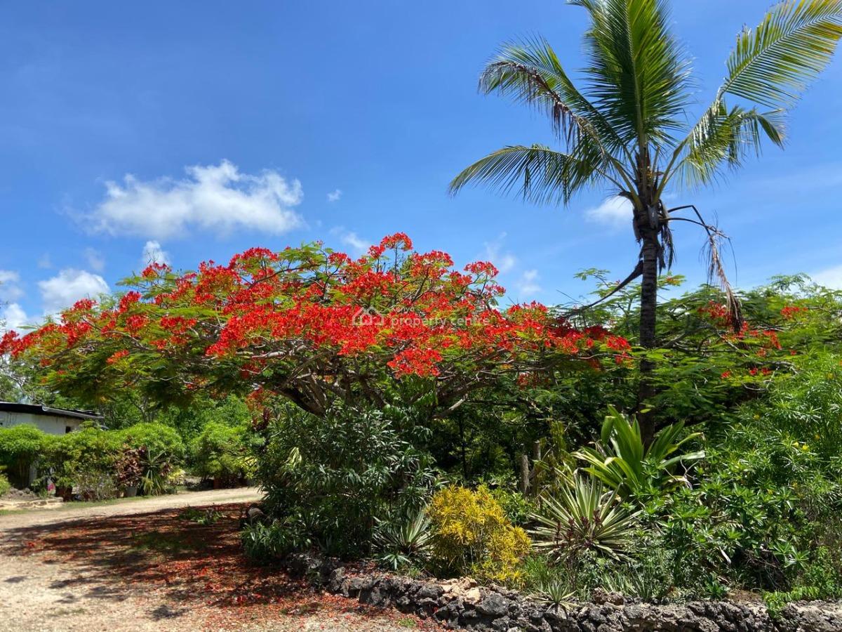 3 Bedroom Beach House with Large Beautiful Garden, Kuruwitu Beach, Vipingo, Shimo La Tewa, Kilifi, Terraced Duplex for Sale