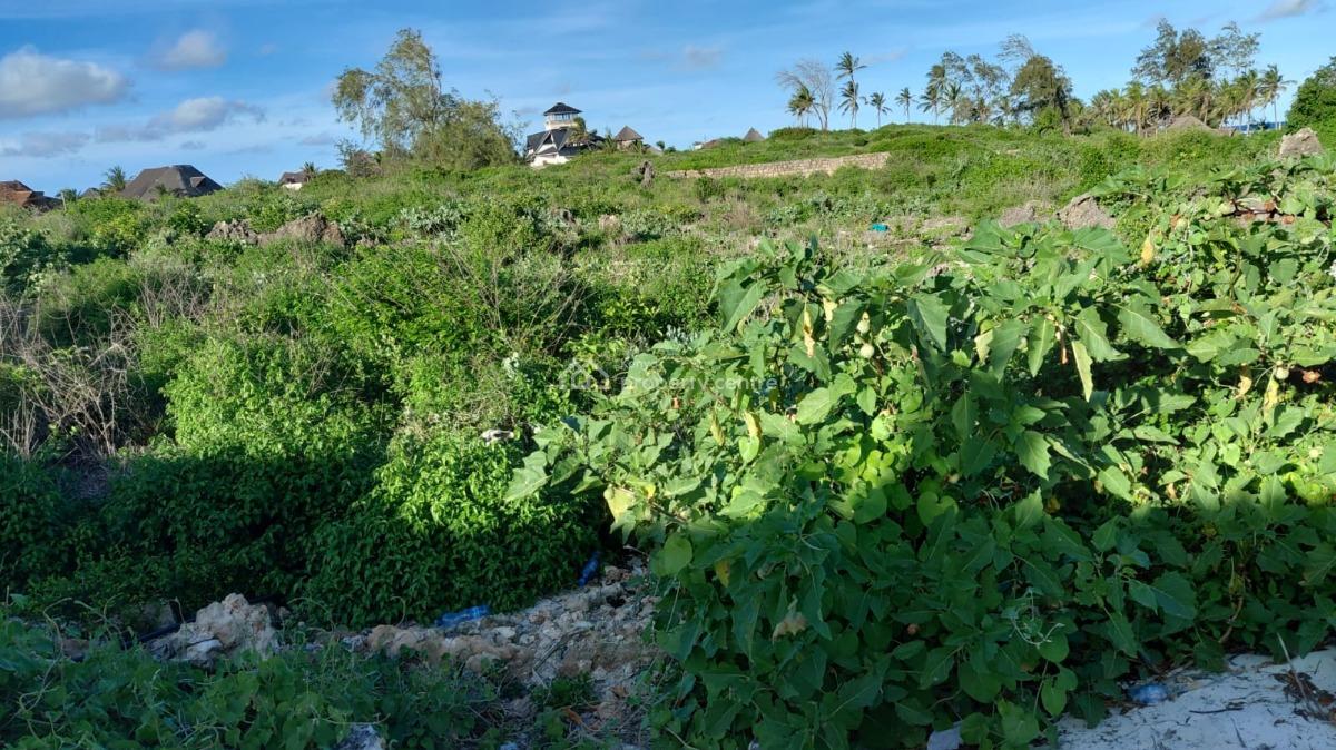 Exclusive 4-acre Beachfront Land at Papa Remo, Watamu, Watamu Paparemo, Watamu, Kilifi, Mixed-use Land for Sale