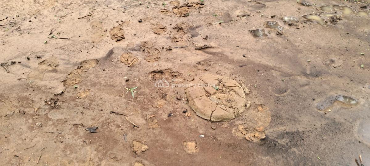 Prime 15-acre Fertile Land in Chakama, Malindi, Chakama, Malindi Town, Kilifi, Mixed-use Land for Sale