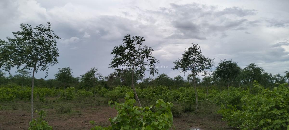 Prime 7.5-acre Land in Chakama, Malindi, Chakama, Malindi Town, Kilifi, Mixed-use Land for Sale