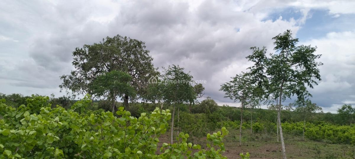 Prime 7.5-acre Land in Chakama, Malindi, Chakama, Malindi Town, Kilifi, Mixed-use Land for Sale