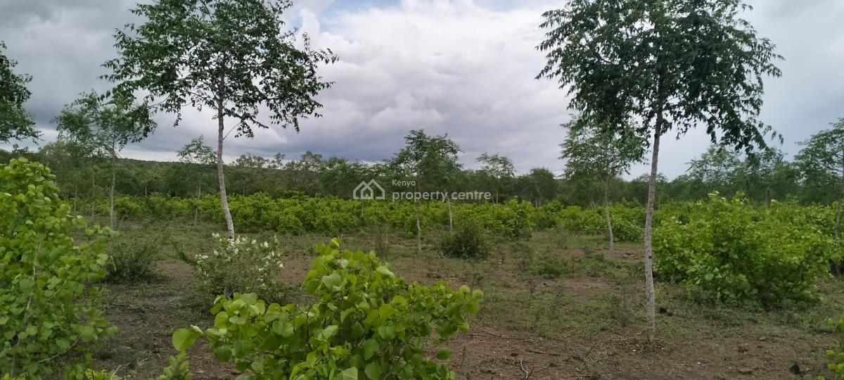 Prime 7.5-acre Land in Chakama, Malindi, Chakama, Malindi Town, Kilifi, Mixed-use Land for Sale