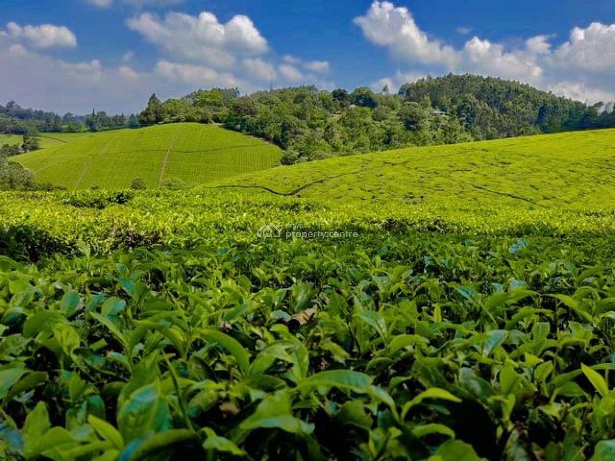 Gatundu South, Gatundu South, Ruiru, Kiambu, Commercial Land for Sale