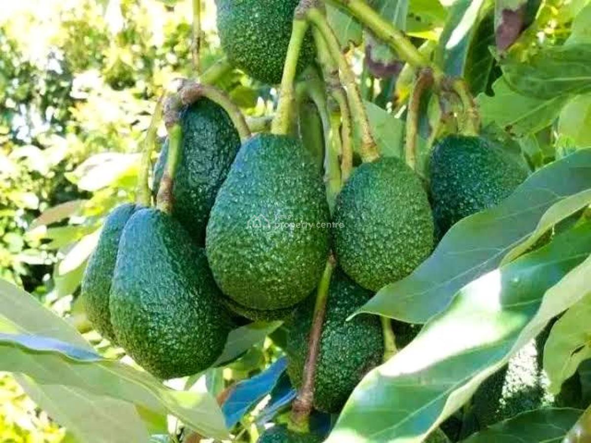 Gatundu South, Gatundu South, Ruiru, Kiambu, Commercial Land for Sale