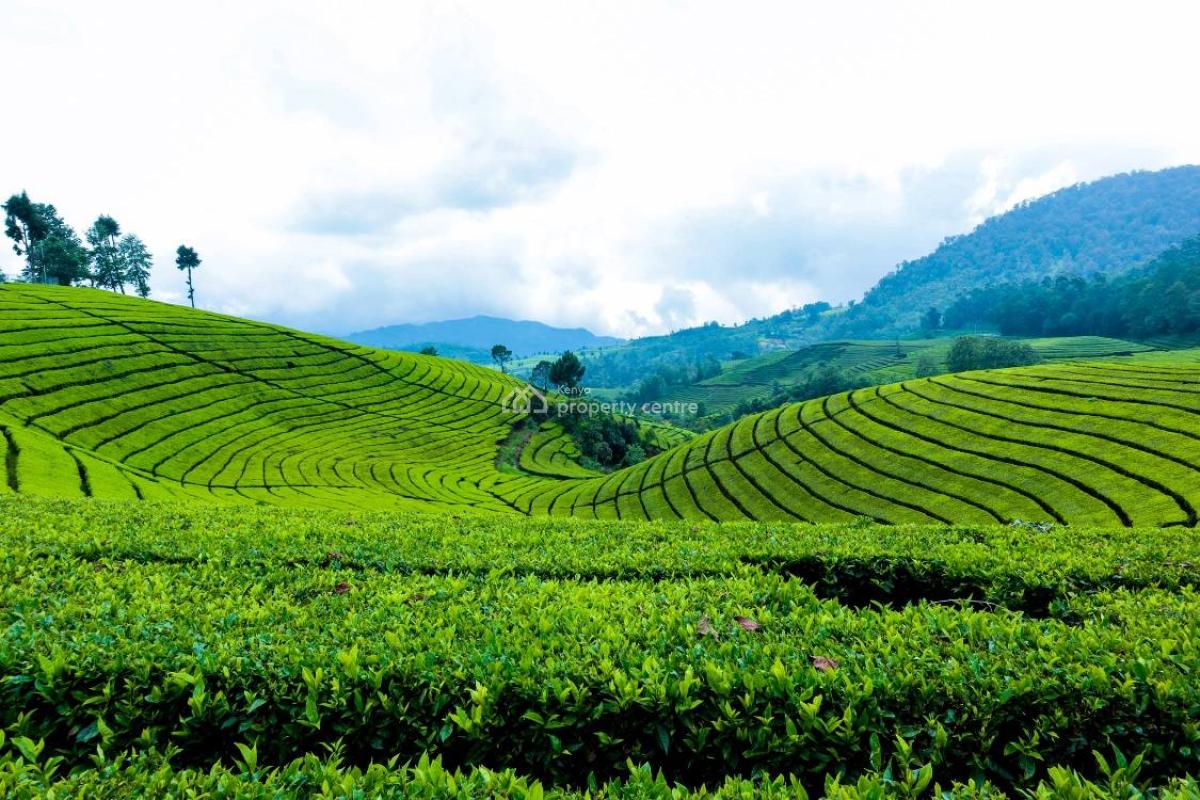 Gatundu South, Gatundu South, Ruiru, Kiambu, Commercial Land for Sale