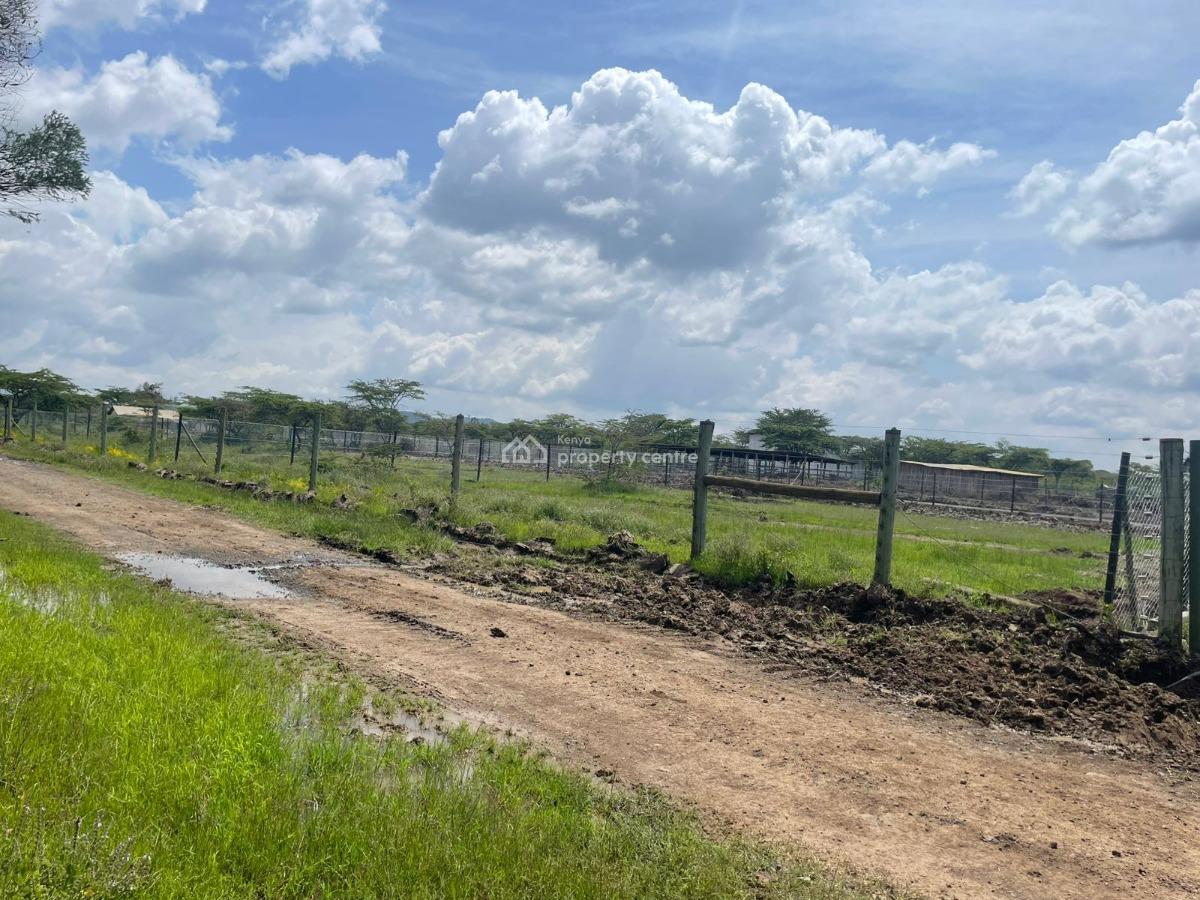 1/4 Acre Serviced Plots, Chaka Ranch, Nanyuki, Laikipia, Residential Land for Sale