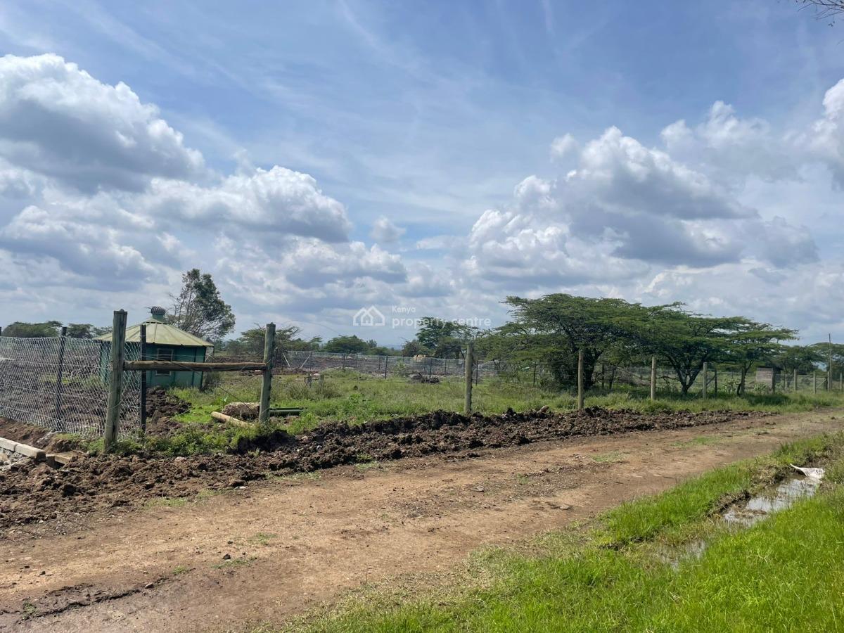 1/4 Acre Serviced Plots, Chaka Ranch, Nanyuki, Laikipia, Residential Land for Sale