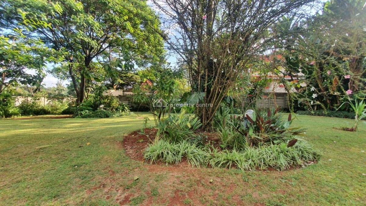 Cozy 3 Bedroom House on One Acre, Nyari West Barrier, Westlands, Nairobi, House for Sale