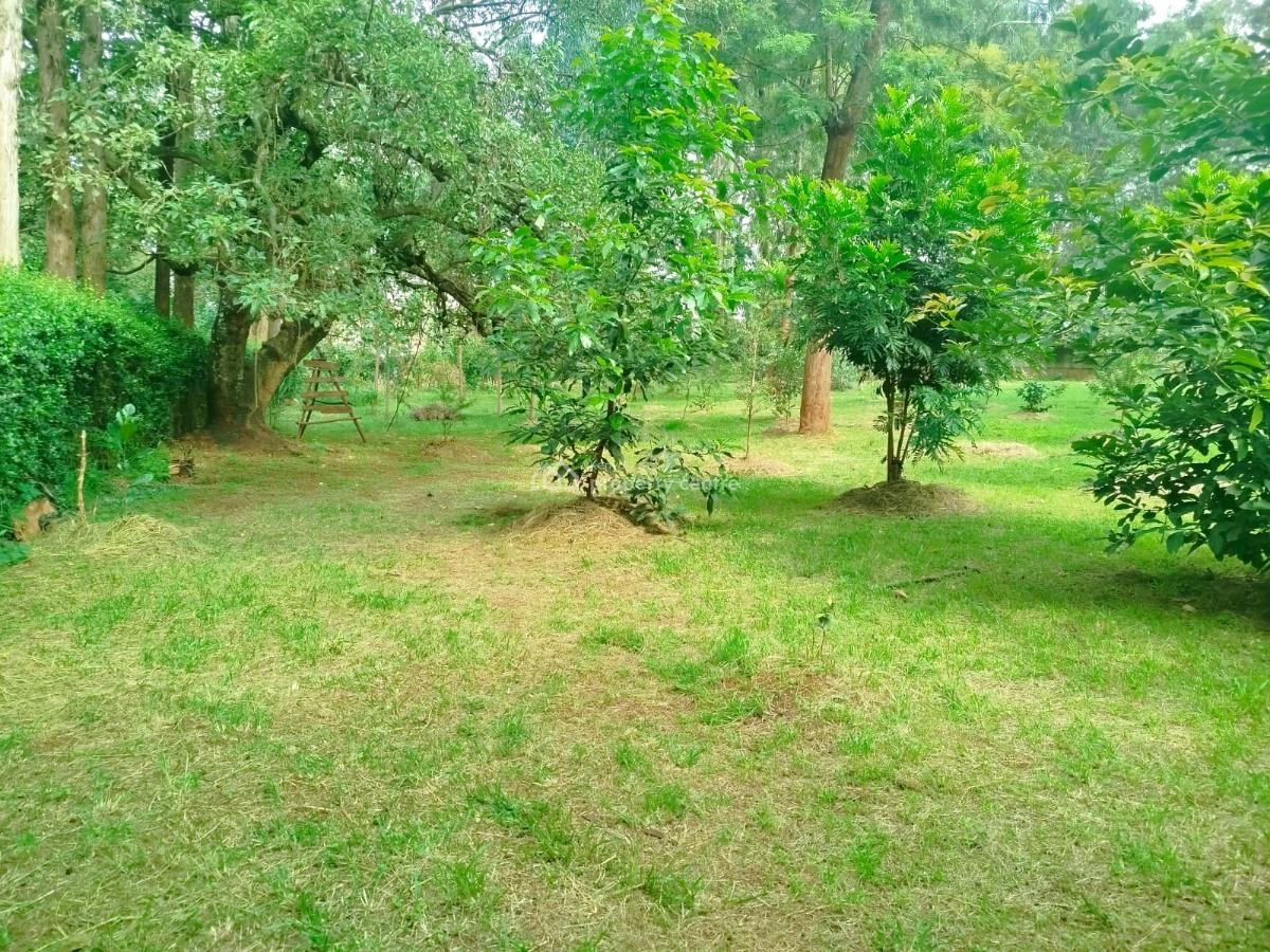 Prime Land with Ready Documentation and Tarmac Frontage, Windyridge Touchung Dagoretti Road, Karen, Nairobi, Land for Sale