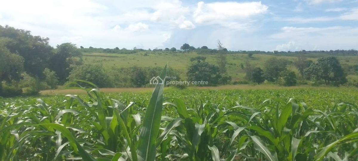 Prime Agricultural Plot, Matuga, Kubo South, Kwale, Land for Sale