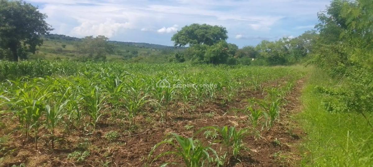 Prime Agricultural Plot, Matuga, Kubo South, Kwale, Land for Sale