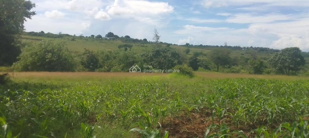 Prime Agricultural Plot, Matuga, Kubo South, Kwale, Land for Sale