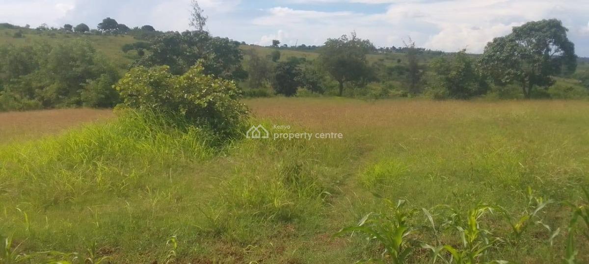 Prime Agricultural Plot, Matuga, Kubo South, Kwale, Land for Sale