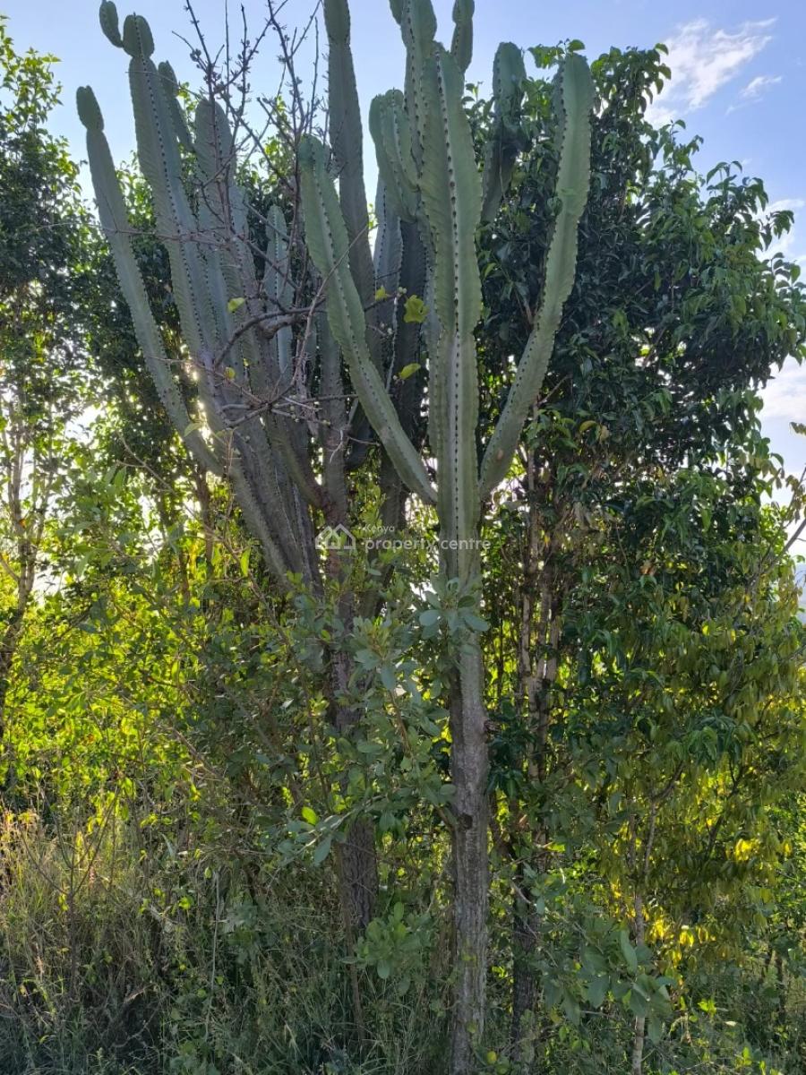 Prime 1-acre Land, Machakos Mua Hills, Machakos Central, Machakos, Land for Sale