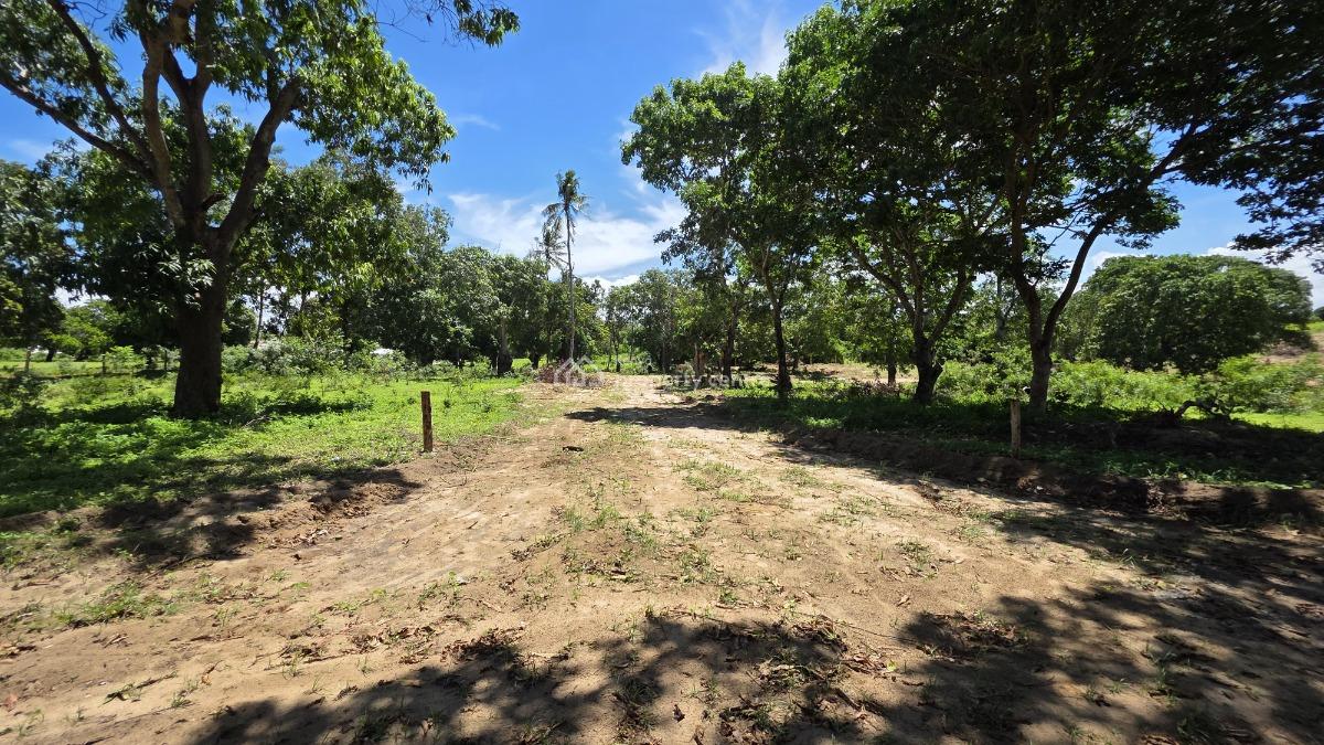 Malindi Msabaha Residential Plots, Msabaha, Malindi Town, Kilifi, Mixed-use Land for Sale
