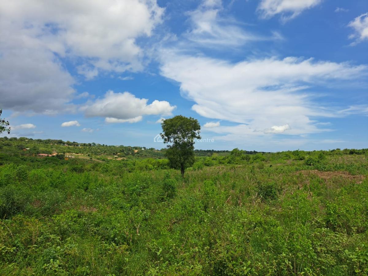 Affordable 200 Acres Ranch Farm, Mariakani- Kaloleni- Mavueni Road, Sokoni, Kilifi, Mixed-use Land for Sale