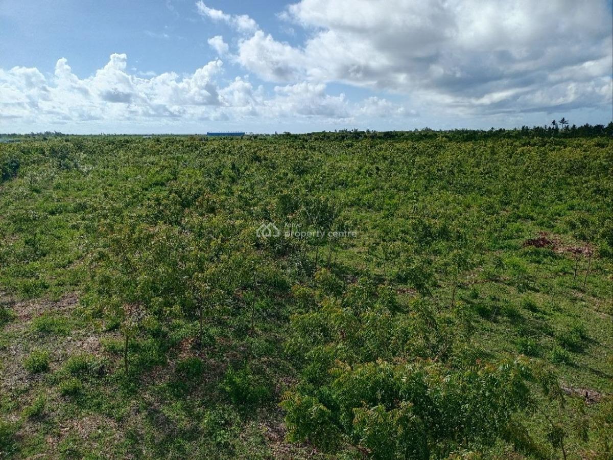 50x100 Plots, Line 7, Tezo, Kilifi, Residential Land for Sale