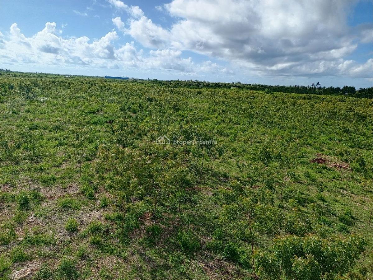50x100 Plots, Line 7, Tezo, Kilifi, Residential Land for Sale