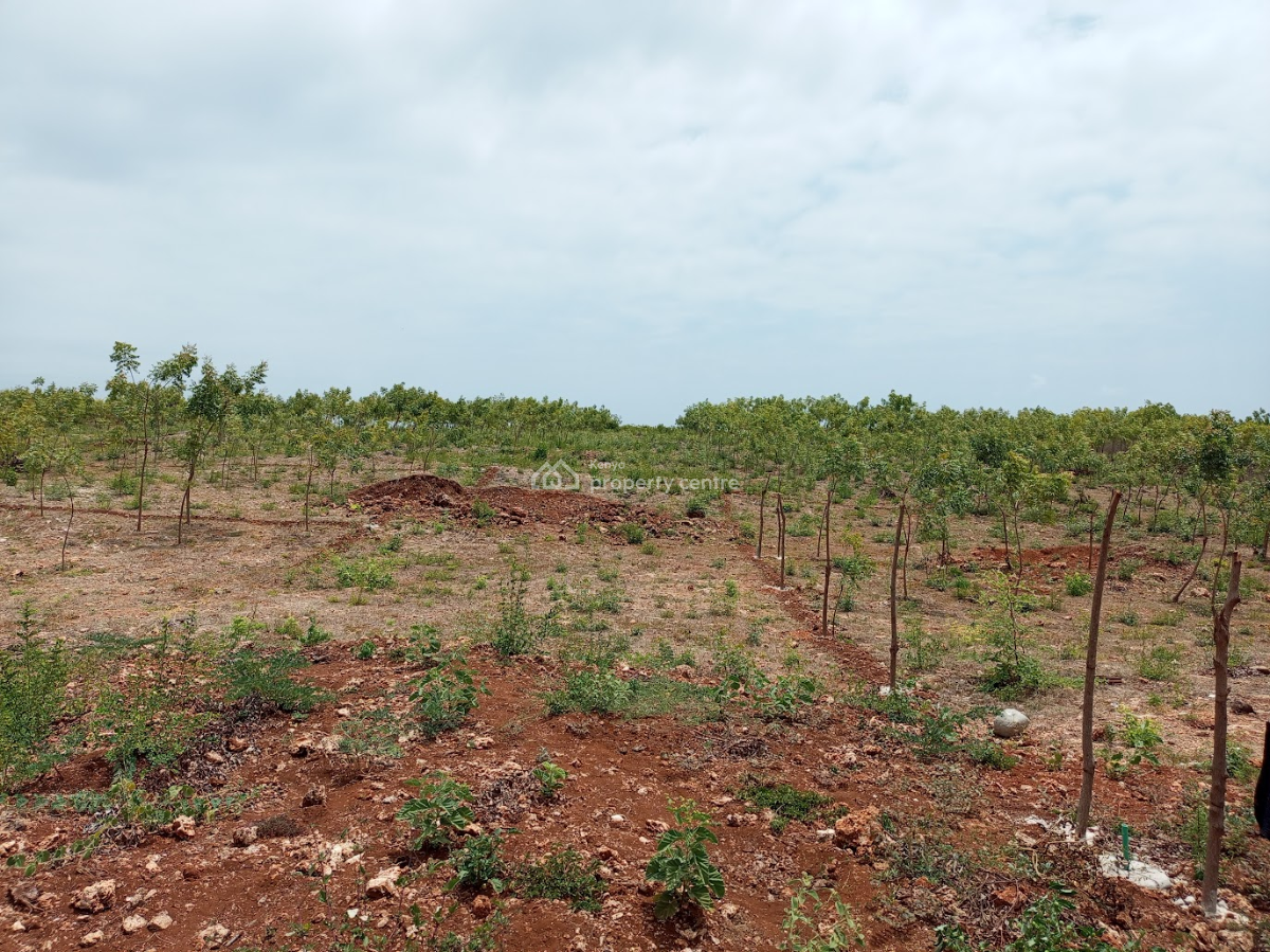 50x100 Plots, Line 7, Tezo, Kilifi, Residential Land for Sale