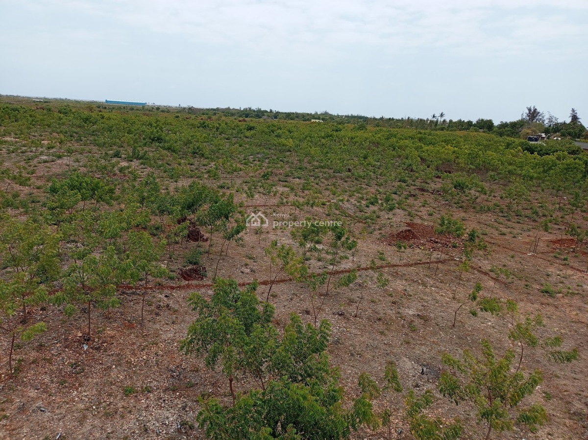 50x100 Plots, Line 7, Tezo, Kilifi, Residential Land for Sale