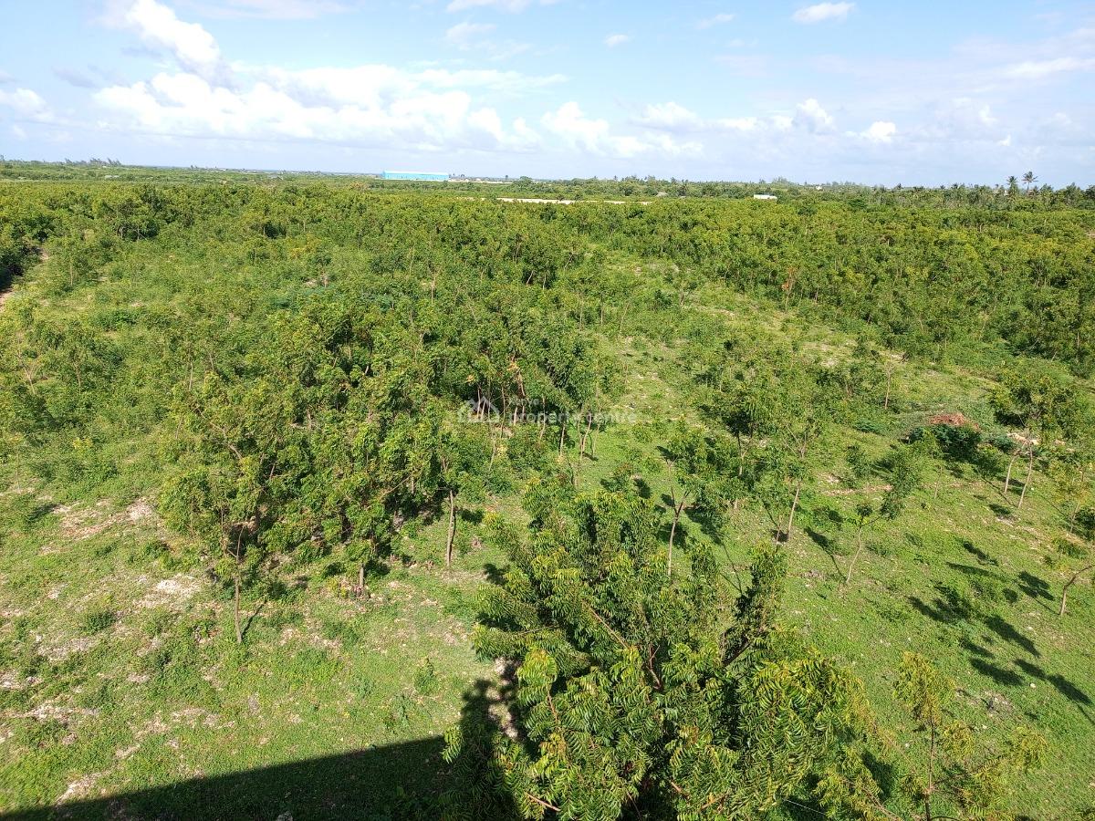 50x100 Plots, Line 7, Tezo, Kilifi, Residential Land for Sale