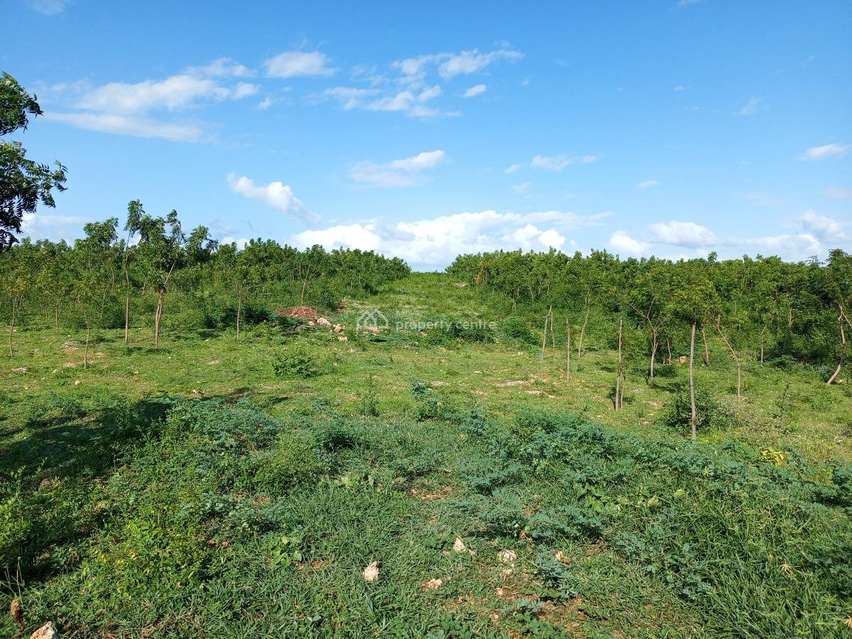 50x100 Plots, Line 7, Tezo, Kilifi, Residential Land for Sale