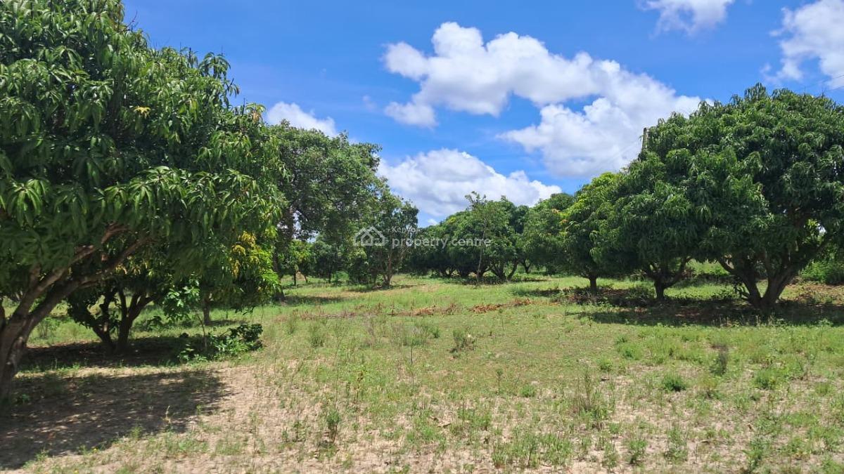 Prime Agricultural Land in a Great Location, Gitiburi, Muconoke, Kirimari, Embu, Mixed-use Land for Sale