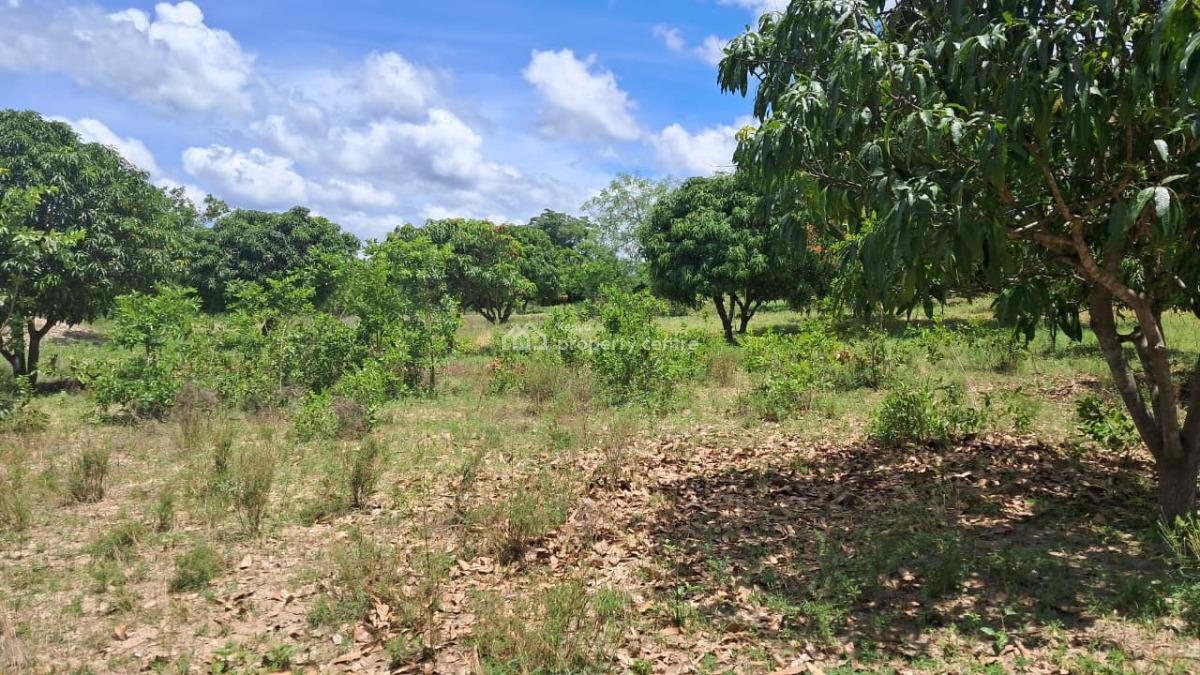 Prime Agricultural Land in a Great Location, Gitiburi, Muconoke, Kirimari, Embu, Mixed-use Land for Sale