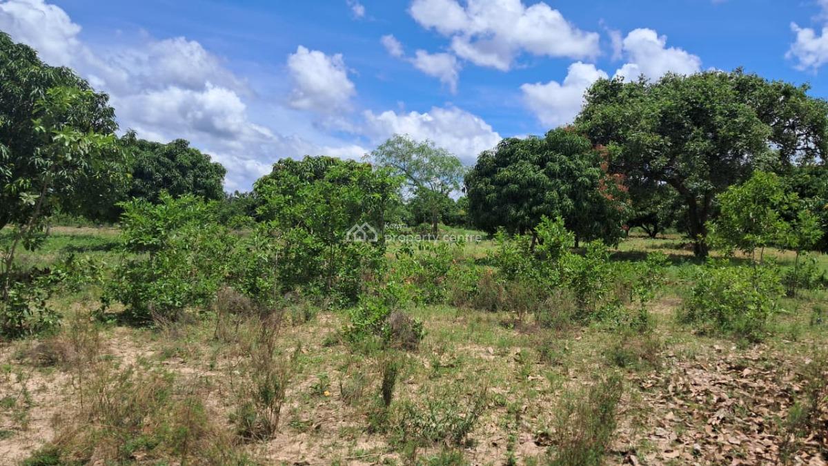 Prime Agricultural Land in a Great Location, Gitiburi, Muconoke, Kirimari, Embu, Mixed-use Land for Sale