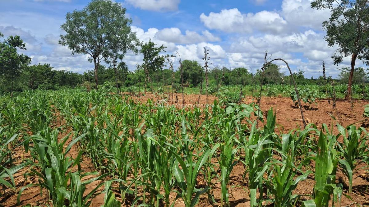 Prime Agricultural Land in a Great Location, Gitiburi, Muconoke, Kirimari, Embu, Mixed-use Land for Sale