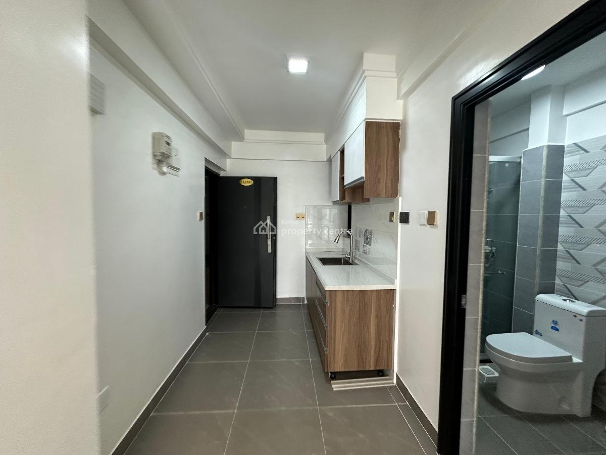 Studio Apartment in Kilimani, Olendume Road, Kilimani, Nairobi, Apartment for Rent