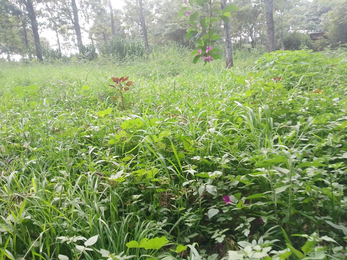Prime Plot, Kibiko, Ngong, Kajiado, Residential Land for Sale