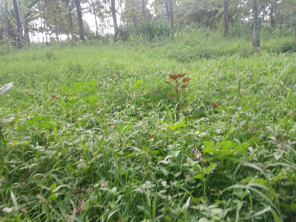 Prime Plot, Kibiko, Ngong, Kajiado, Residential Land for Sale