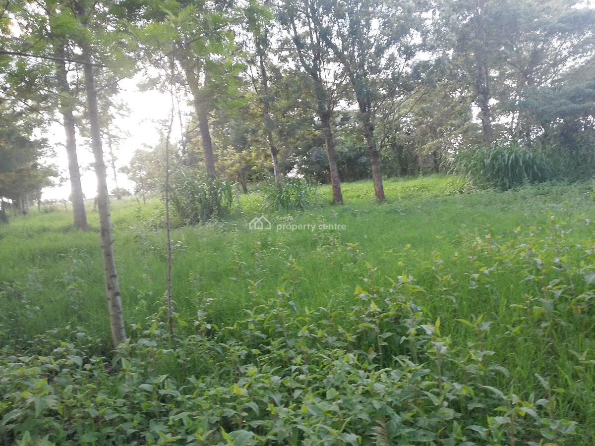 Prime Plot, Kibiko, Ngong, Kajiado, Residential Land for Sale