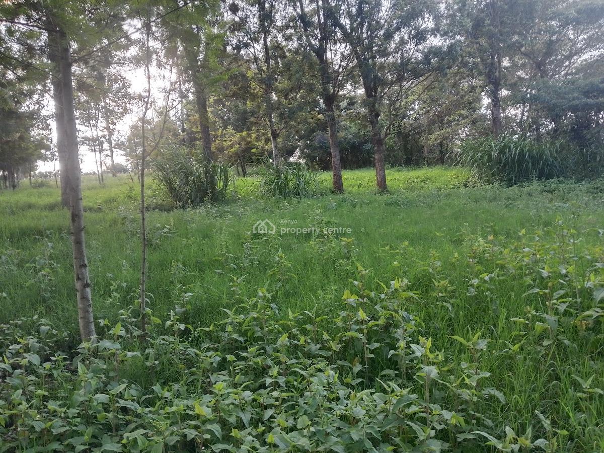 Prime Plot, Kibiko, Ngong, Kajiado, Residential Land for Sale